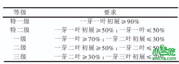 舒城小兰花安徽传统名茶 香如兰花