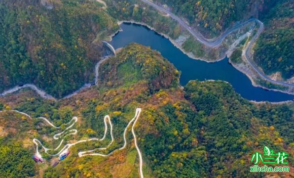 龙舒白桑园“舒城小兰花”的发祥地