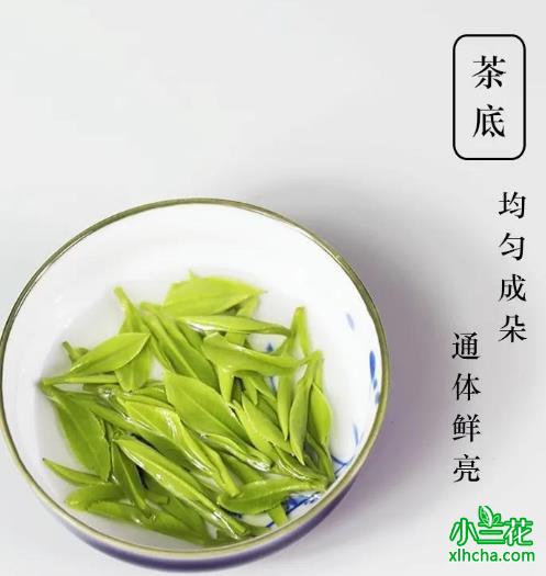 莺时杜鹃尚未开，明前兰花破雨来