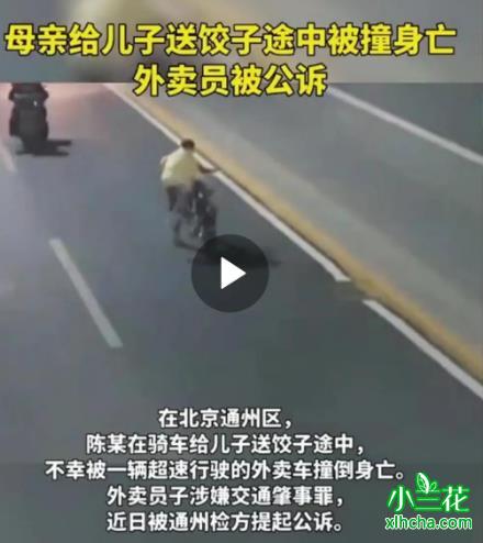 母亲给儿子送饺子途中被撞身亡