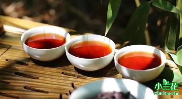 普洱茶沱茶是什么茶？和普洱茶的区别