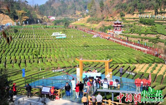 “湖北早市茶之乡”三峡茶谷·落佛茶旅新村开幕