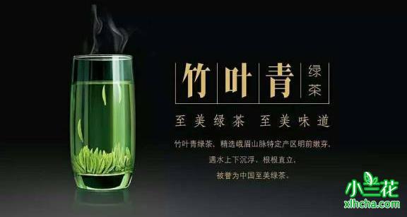 竹叶青茶好吗怎么泡好喝