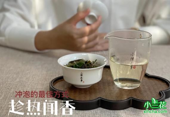 泡茶的水温度多少最好