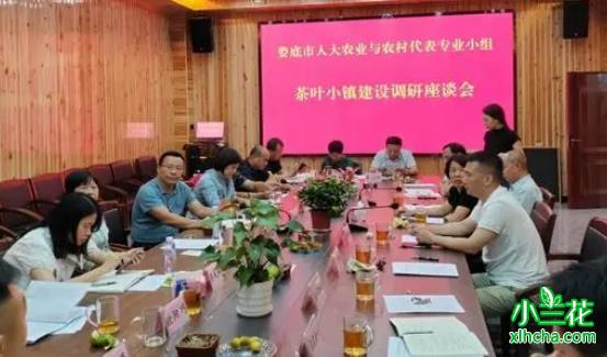 娄底市茶叶小镇建设调研座谈会